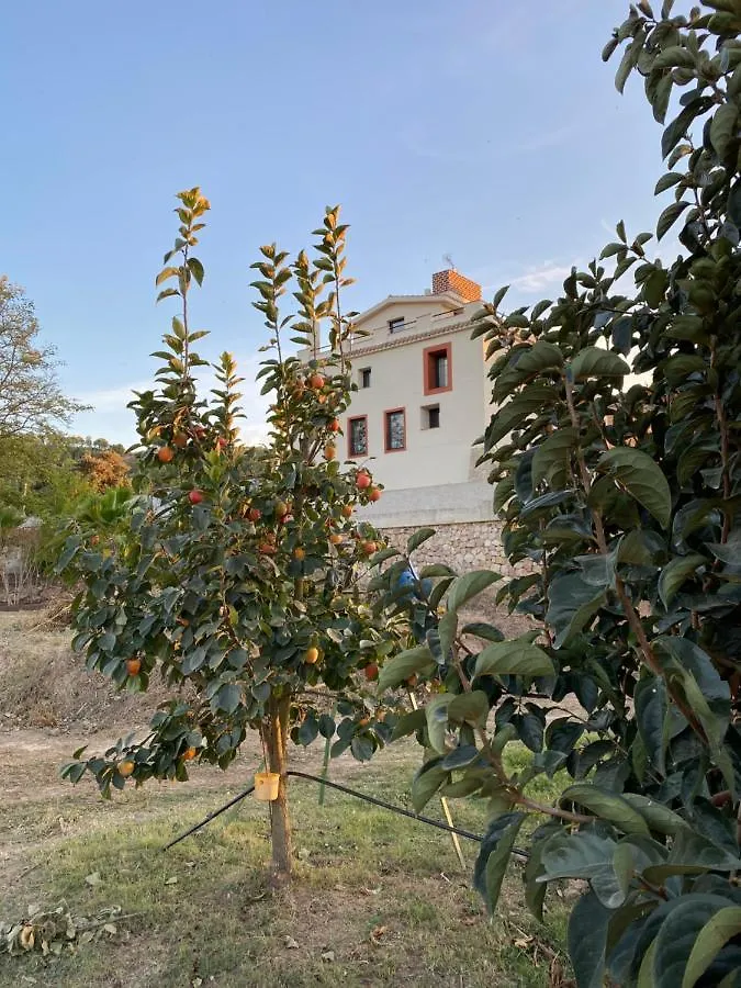 Hotel Rural Mas De L'Illa Tivissa 0*,